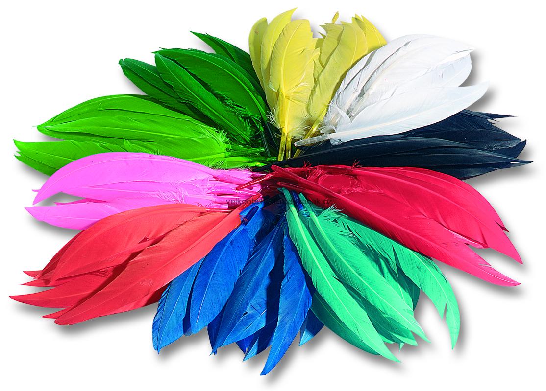Indiánská barevná pera - 10-20 cm, 100 g